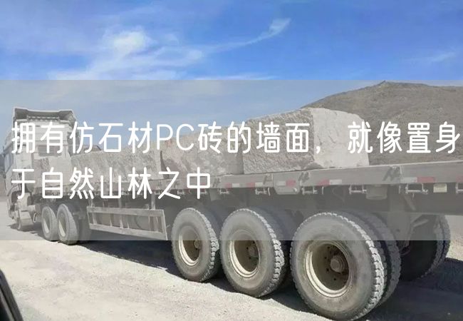 擁有仿石材PC磚的墻面，就像置身于自然山林之中