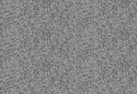 河南芝麻白與芝麻灰區(qū)別(圖2) 河南芝麻白與芝麻灰區(qū)別(圖2)