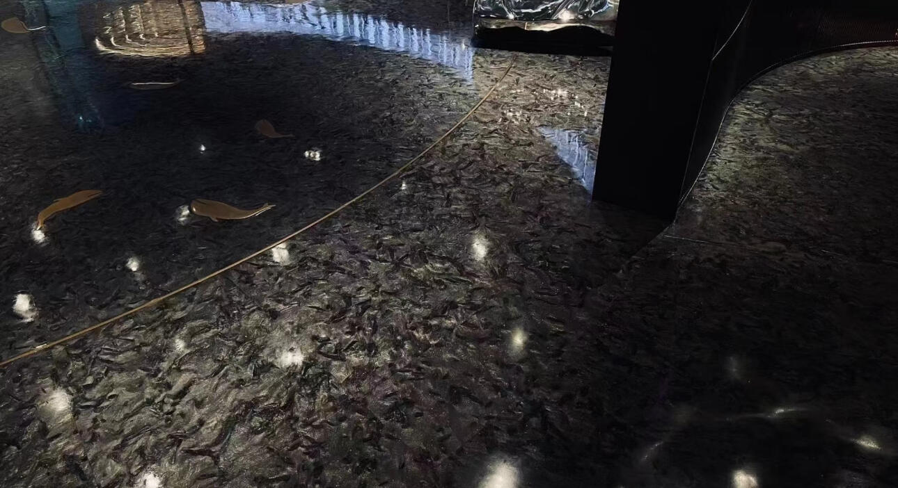 范思哲黑生產(chǎn)廠家的創(chuàng)新研發(fā)方向是什么？