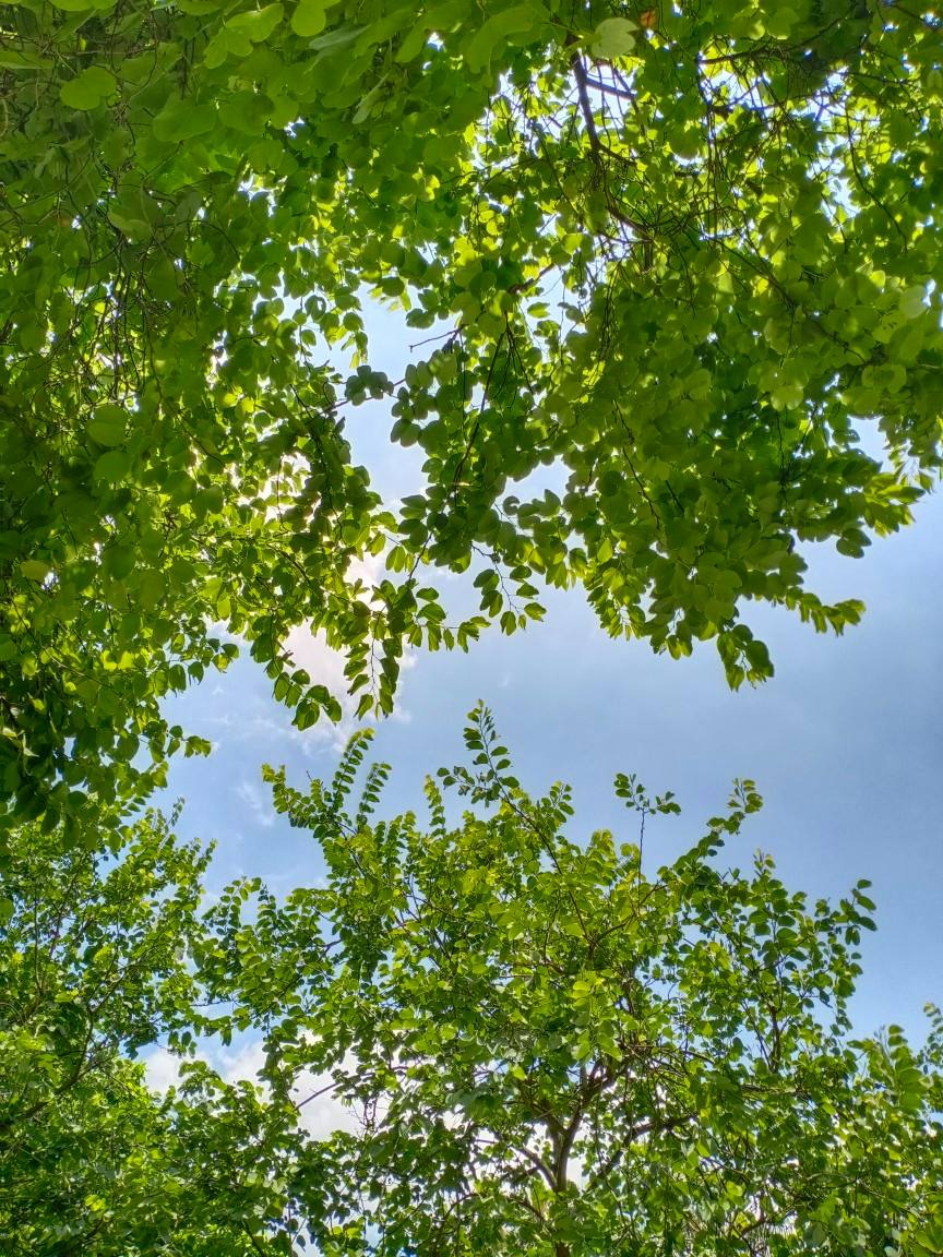 河南芝麻灰石材小鐵灰花崗巖毛板批發(fā)(圖2) 河南芝麻灰石材小鐵灰花崗巖毛板批發(fā)(圖2)