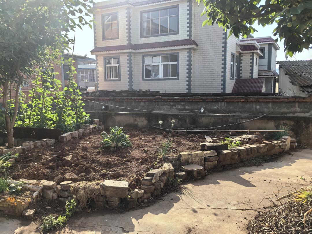自建房中式小院地鋪石用透水磚還是石材(圖4) 自建房中式小院地鋪石用透水磚還是石材(圖4)