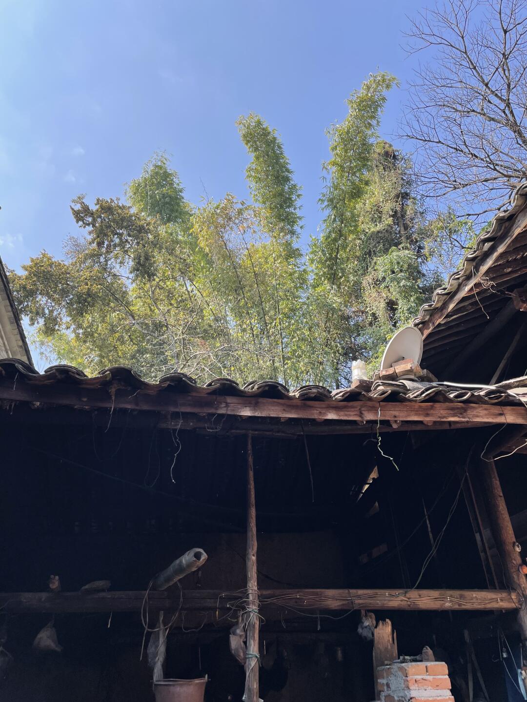 小院地鋪石哪種紋理適合中式風(圖3)