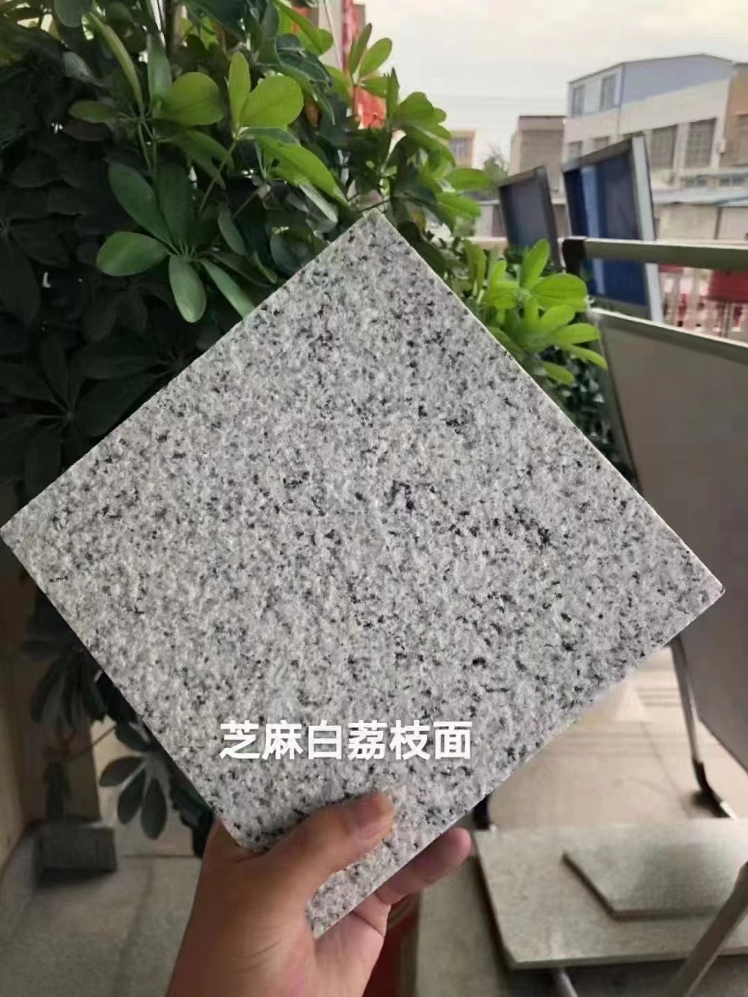 芝麻白花崗石價(jià)錢