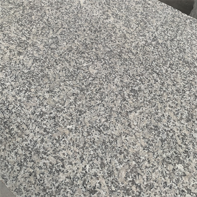 河南50芝麻灰價(jià)格(圖1)