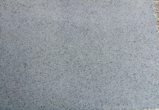 芝麻黑有哪些產(chǎn)地(圖2)