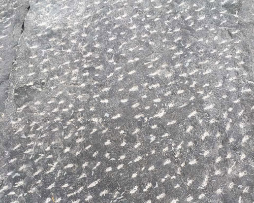 鋪青石板后悔了，真的嗎？