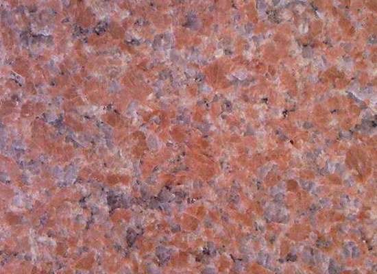 小院建設(shè)維護(hù)：輕松打理保持常新(圖3)