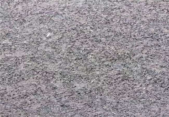 芝麻黑g654盲道石價格多少