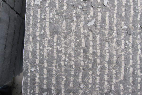 雄安新區(qū)石材廠家提供荒料切割與異形加工服務(圖5) 雄安新區(qū)石材廠家提供荒料切割與異形加工服務(圖5)