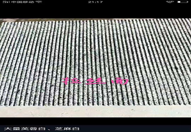 芝麻白石材2分厚報價