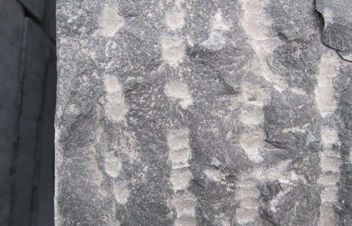 石材飾面在北方寒冷地區(qū)凍融循環(huán)下的粘結(jié)層防護要求