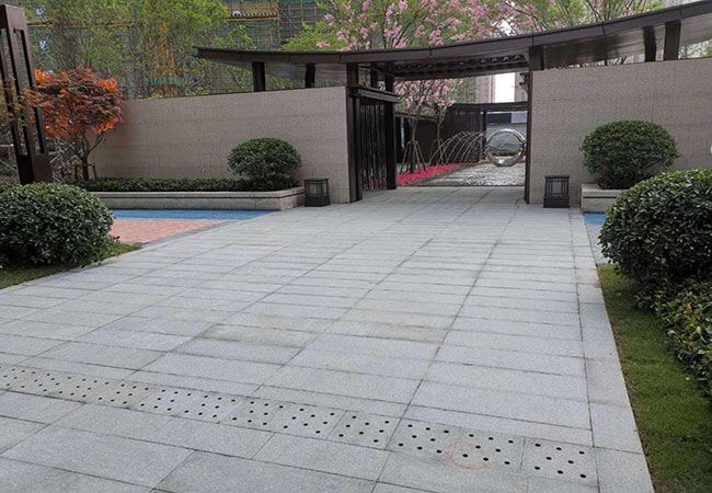 山東佳藝芝麻白廠家