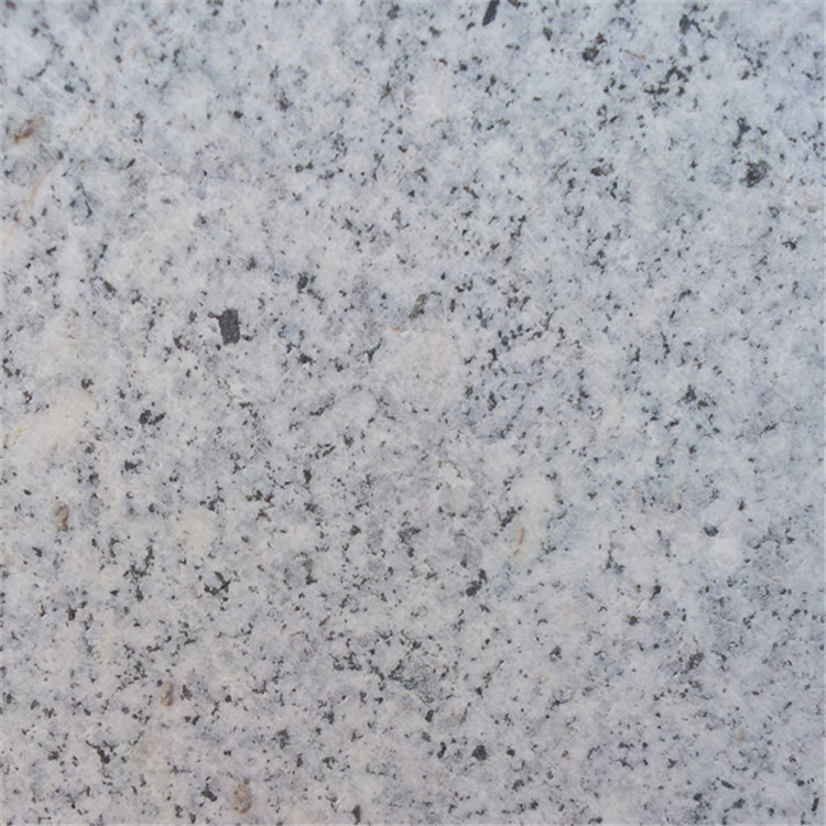 芝麻灰廠家直銷廠家(圖5)