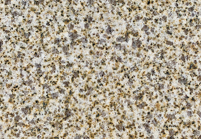 青島黃金麻廠家批發(fā)價(jià)(圖2)