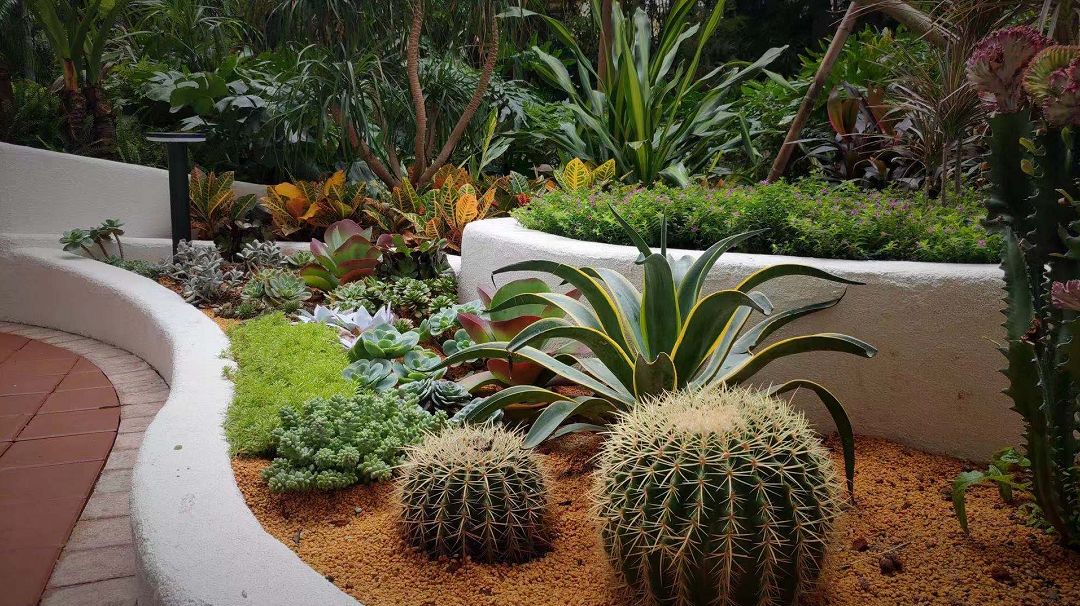 打造一個(gè)庭院花園需要花費(fèi)多少錢？(圖3)