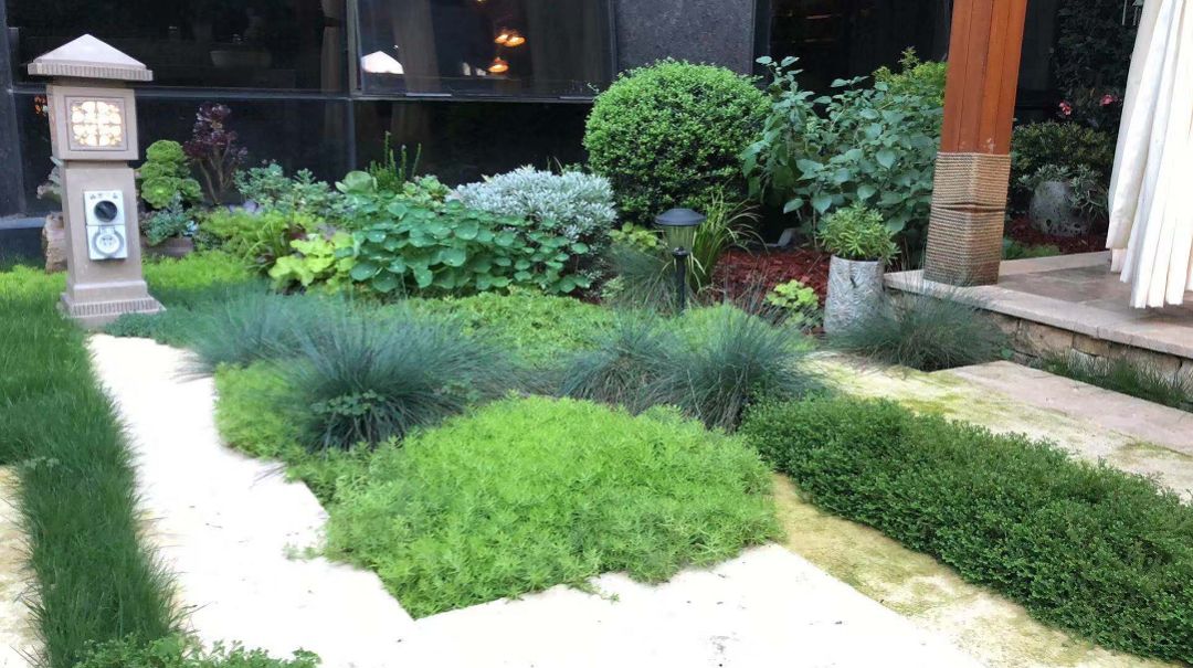 打造一個(gè)庭院花園需要花費(fèi)多少錢？(圖7)