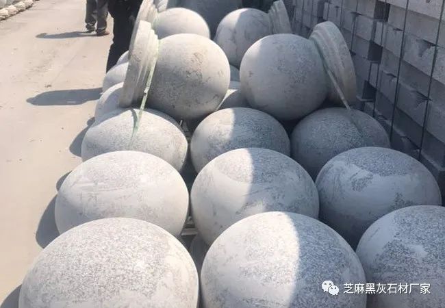 芝麻白產(chǎn)地在哪里(圖5)