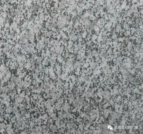 光面芝麻灰花崗巖防滑(圖5) 光面芝麻灰花崗巖防滑(圖5)