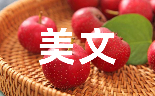 探究周寧美文線下寫作：如何讓手寫字更加優(yōu)美？